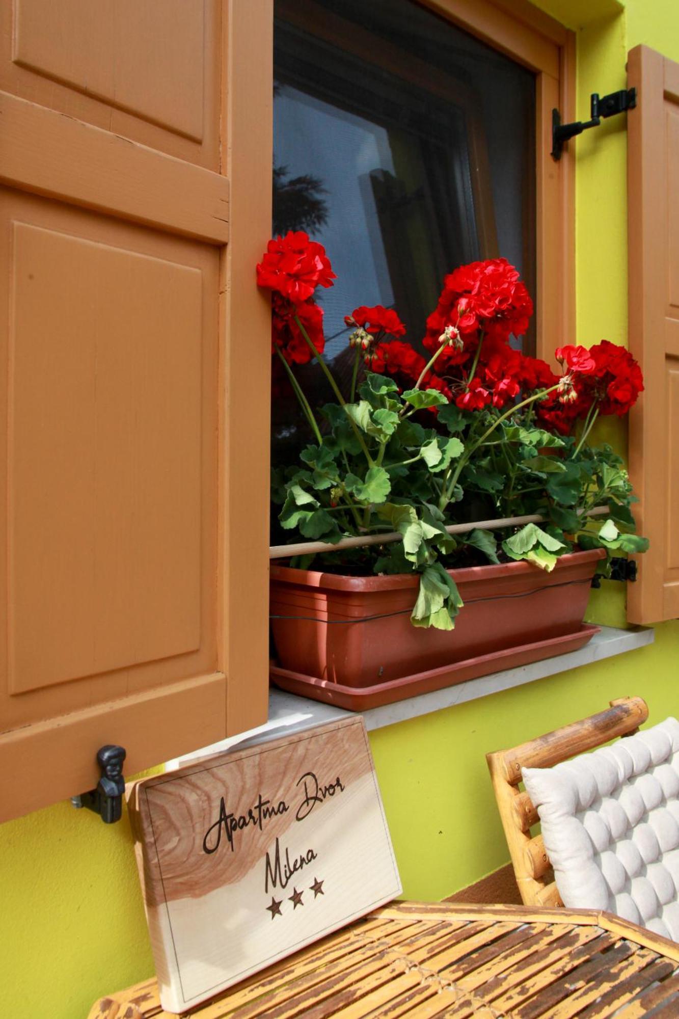 Apartma Dvor Milena Bovec Dış mekan fotoğraf